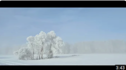 Video Preview: Light Waves