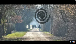 Video Preview: Winding Paths